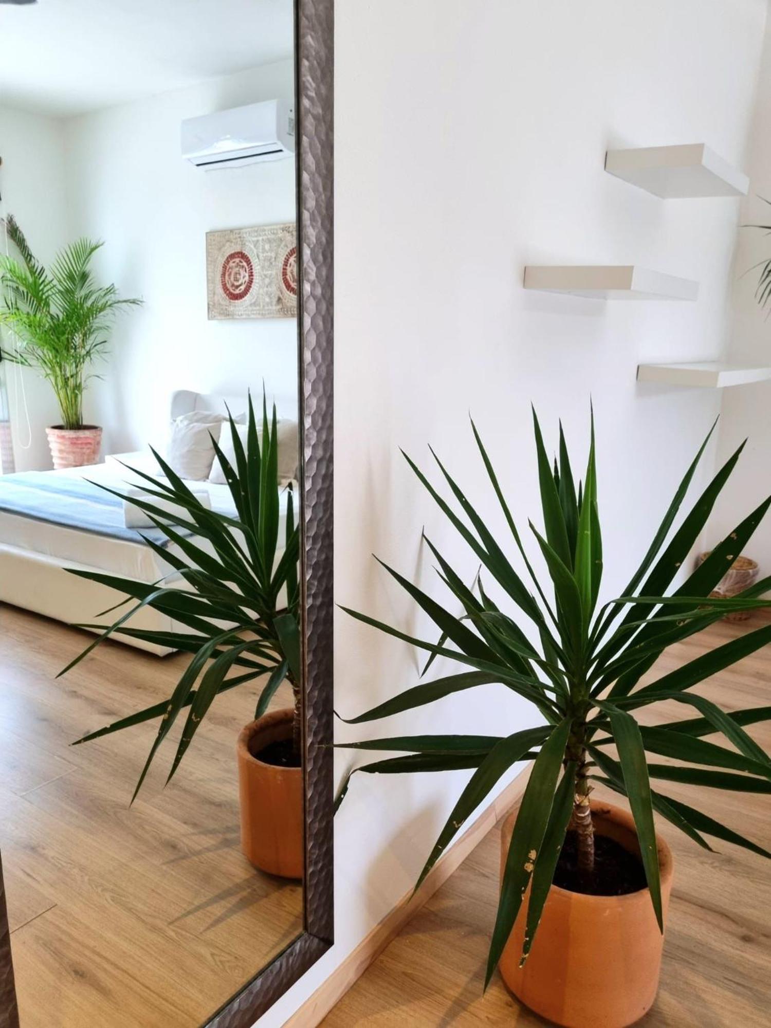 Chill Inn Hostel Тулум Екстериор снимка